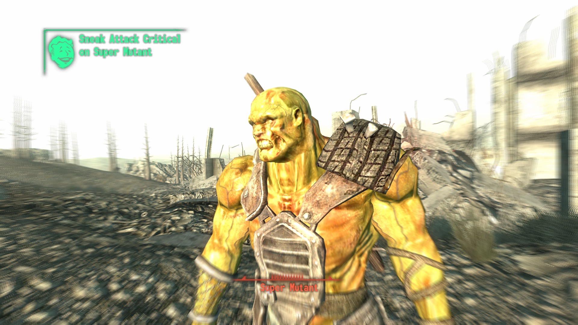 Fallout 3-2024_06_17-00-51-52.jpeg