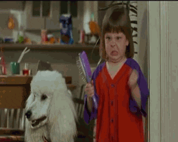 giphy-1.gif