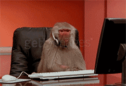 giphy-2.gif