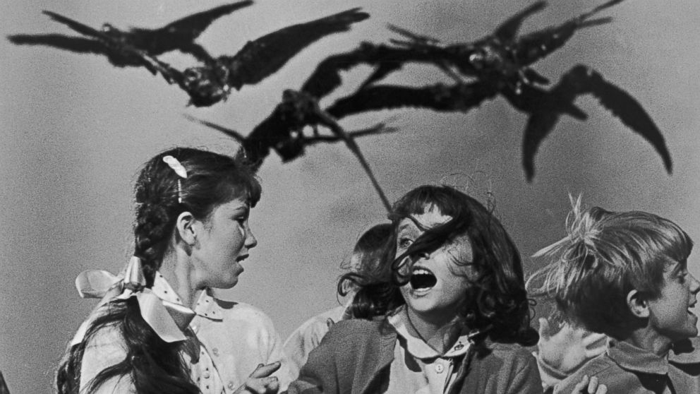 gty_hitchcock_movie_the_birds_jc_141205_16x9_992.jpg