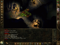 Icewind Dale Screenshot 2026.07.21 - 21.22.21.82.png